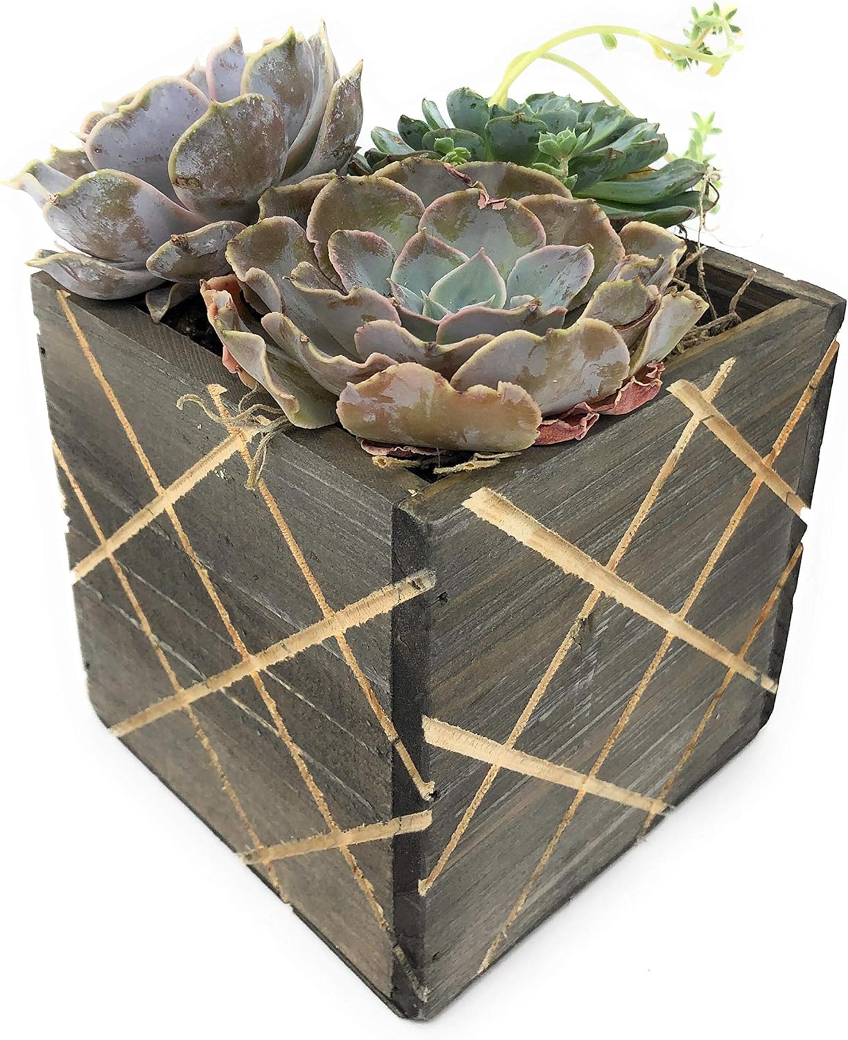 Wood Planter Box with Diamond Cross Hatch Style, 5 Inch Square, Rustic Barn Wood, Plastic Liner, Wedding Flowers Holder, Home and Venue Decor (5x5 Diamond Cross Hatch Set of 4, Natural)