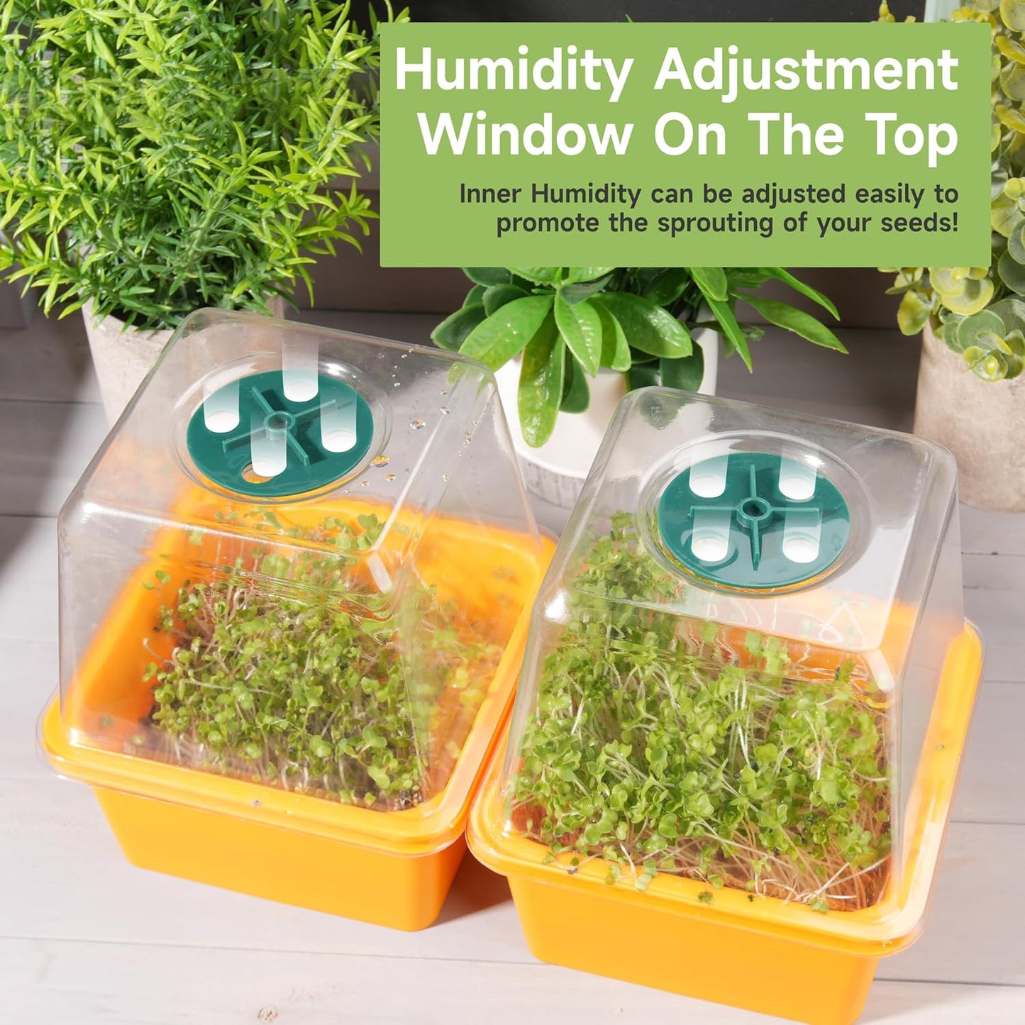 Microgreen Growing Trays, LUVCSOY Sprouting Tray with Humidity Dome, 1.2 mm Small Mesh Holes, BPA Free, Sprouter Kit for Growing Mirco Seeds, Like Broccoli, Alfalfa, Radish, Clover - 4 Pack | Colorful