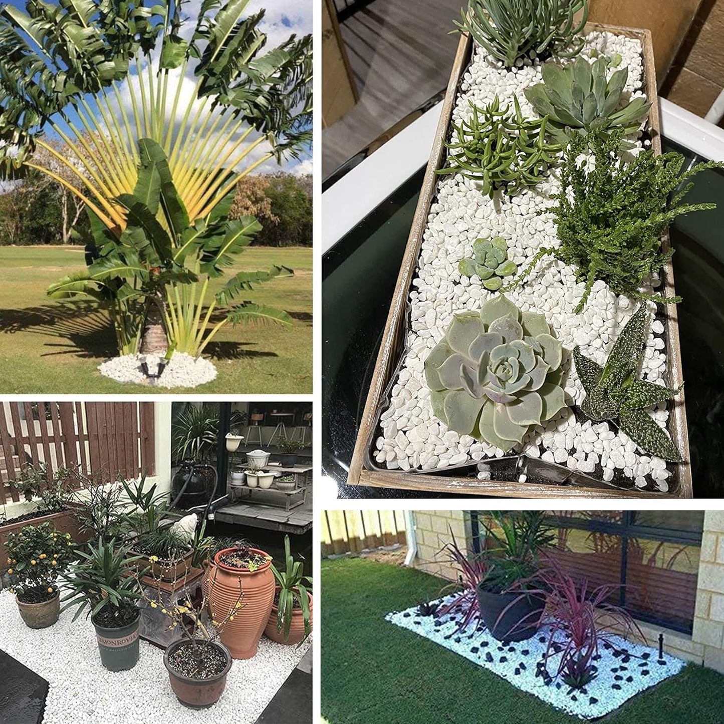 CJGQ White Pebbles for Plants Garden Vases 7 lb White Rocks Gravel Decorative Stone 1/2"