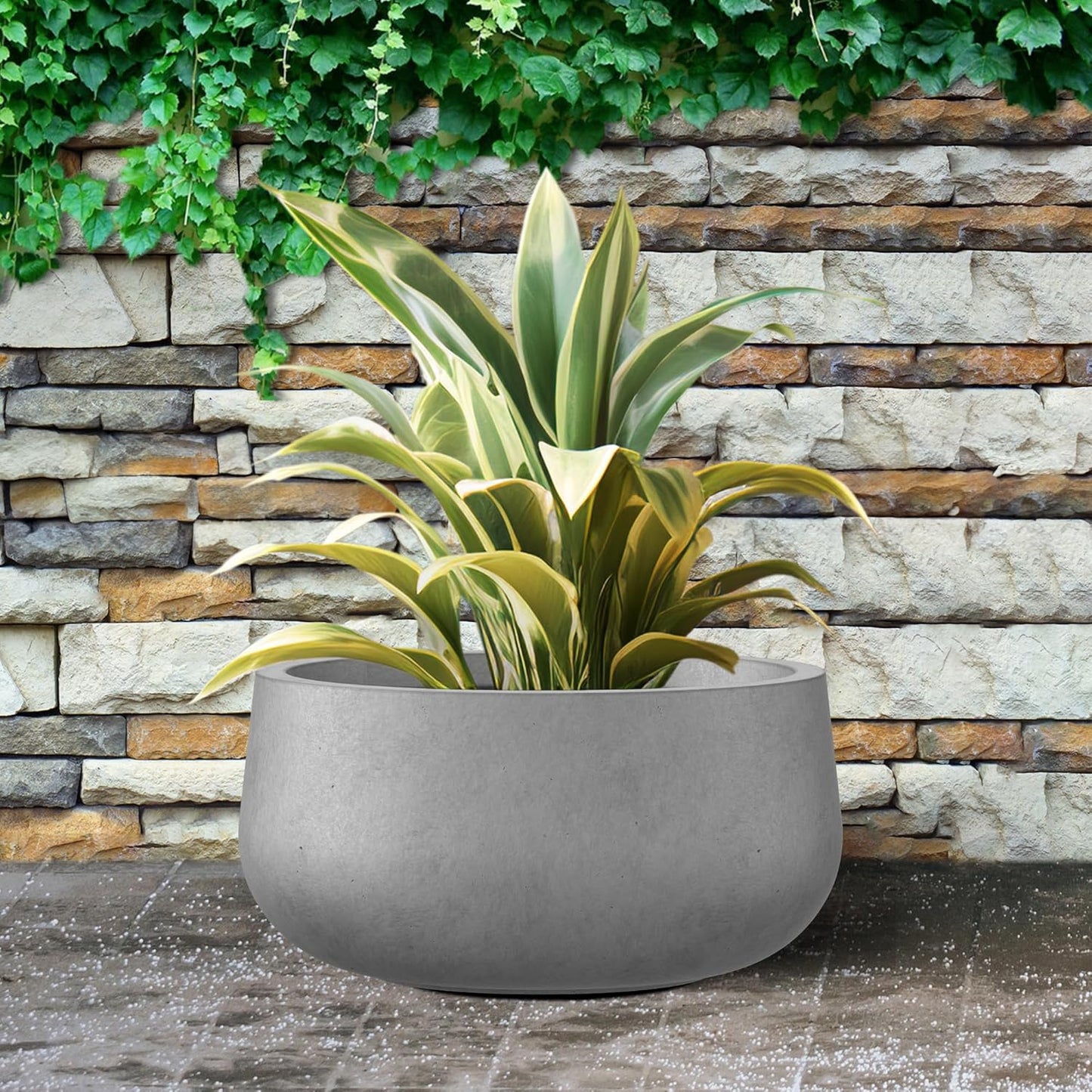 Kante 15.7" Dia Round Concrete Planter, Outdoor Indoor Garden Plant Pots with Drainage Hole and Rubber Plug, Modern Curvaceous Design, Natural Concrete