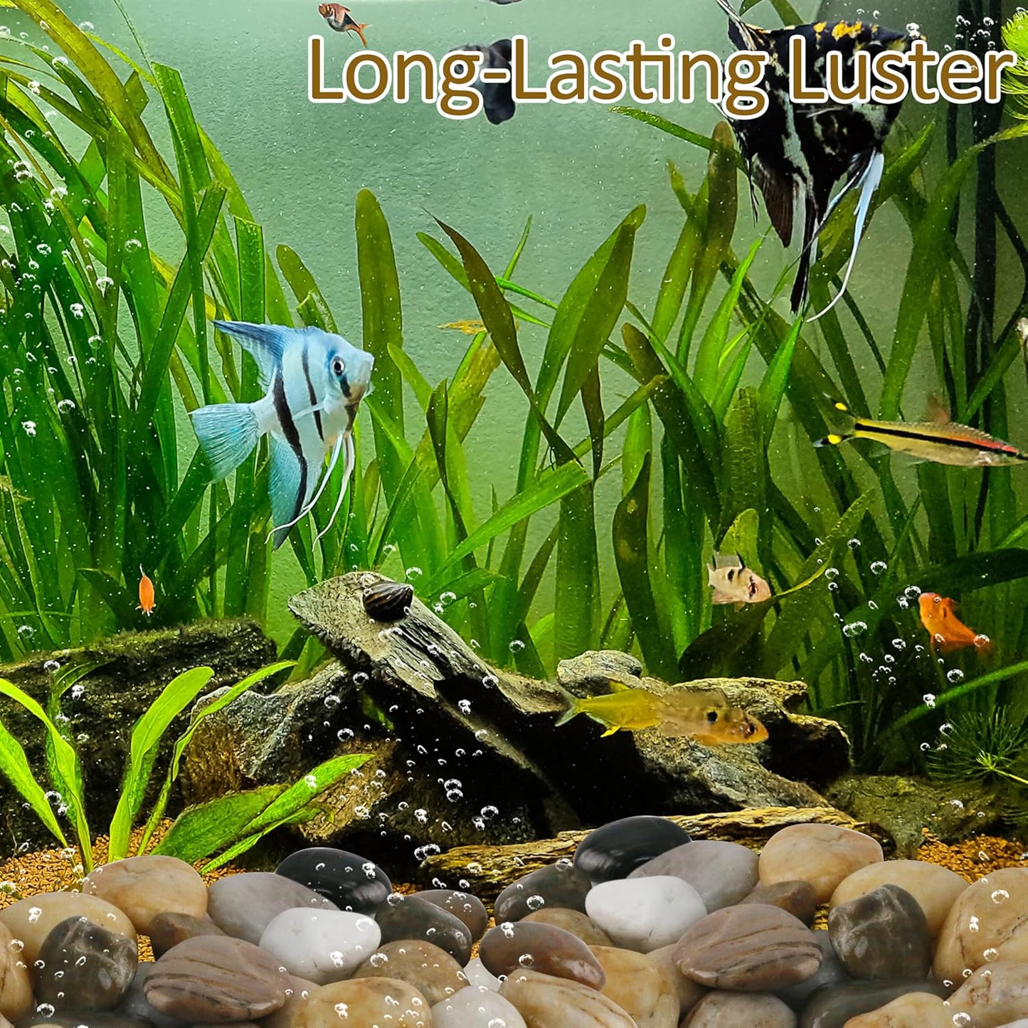 Sunnyglade 40 LBS River Rocks, 2-3 Inch Natural Pebbles for Indoor Plants, High Polished Decorative Stones Vase Filler Fish Tank Aquariums Landscaping Garden Outdoor and Indoor DIY (40, Pounds)