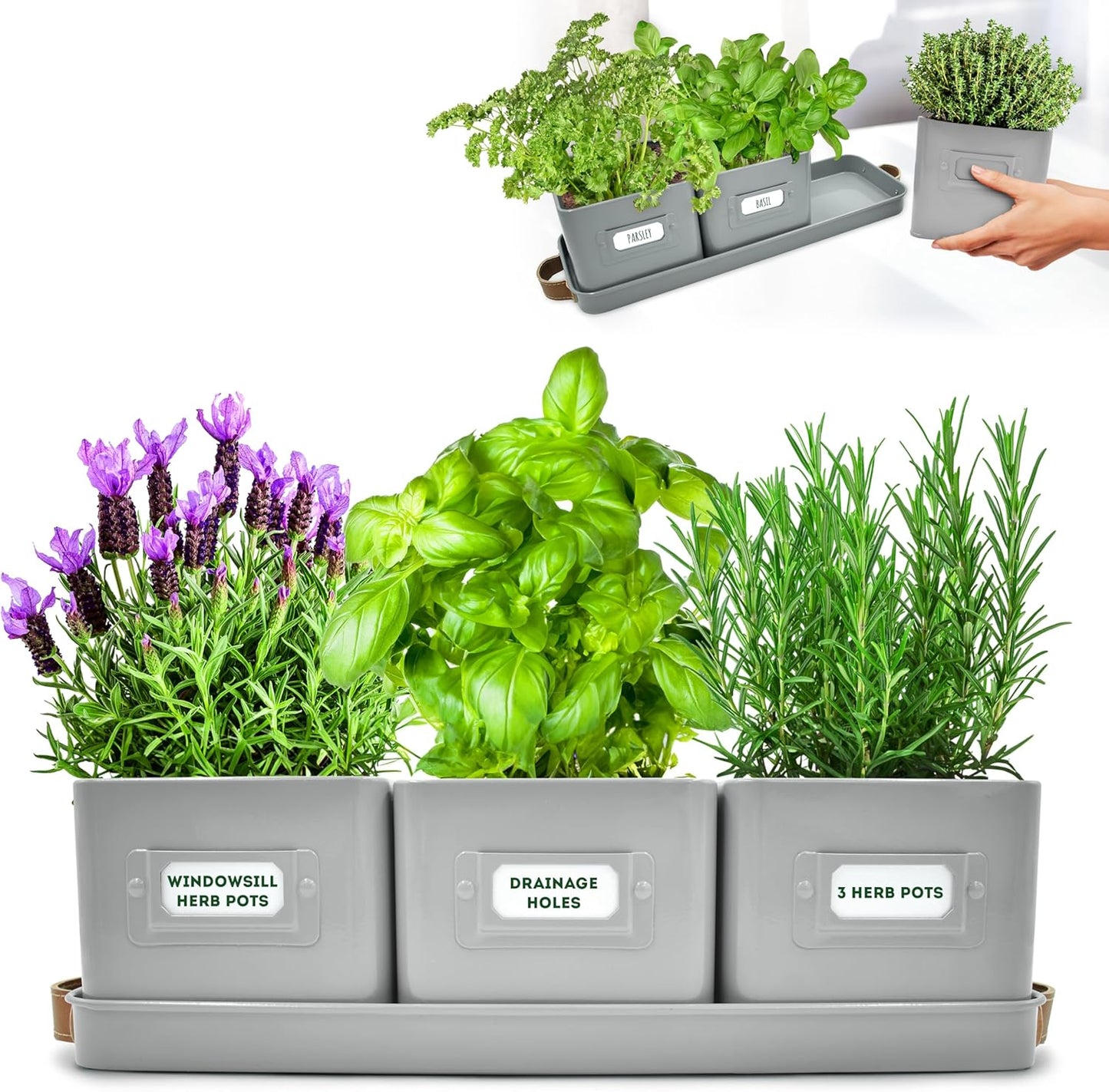Herb Planter Indoor - Set of 3 Grey Indoor Herb Garden Pots for Plants with Leather Handled Tray - Window Sill Plant Shelf - Herb Pots with Drainage Holes and Labels