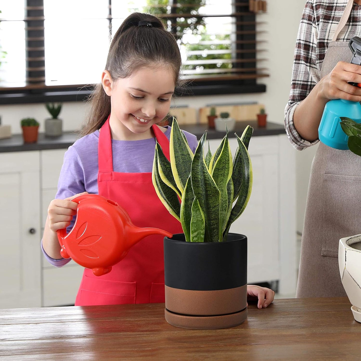 D'vine Dev 6 Inch Ceramic Planter Pot with Drainage Hole and Saucer, Indoor Cylinder Round Planter Pot, Black/Speckled Tan, 94-O-C-7