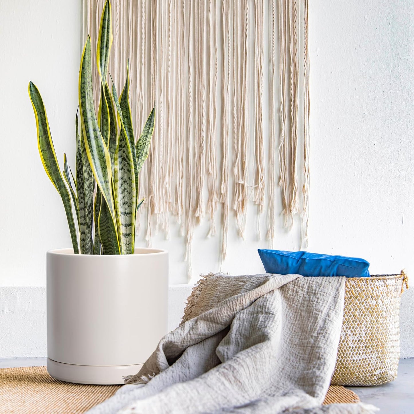 D'vine Dev 12 Inch Ceramic Planter Pot with Drainage Hole and Saucer, Indoor Cylinder Round Planter Pot, Oatmeal, 94-O-F-8