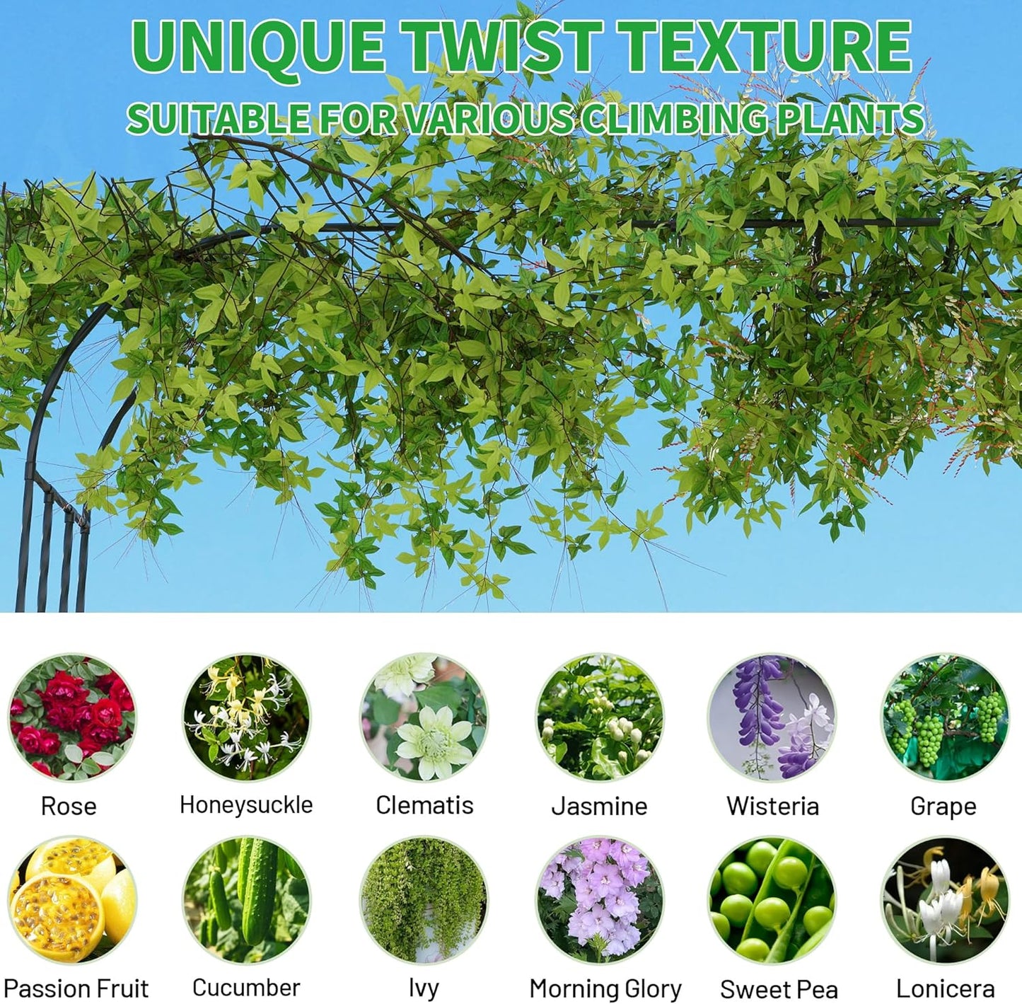 Garden Arch Trellis, Trellis Arch for Climbing Plants Outdoor, 8.2 x 7.9FT Metal Full Garden Arbor, Garden Trellises for Patio Lawn Backyard, Large Archway Decoration Black 98.4" x 94.5in