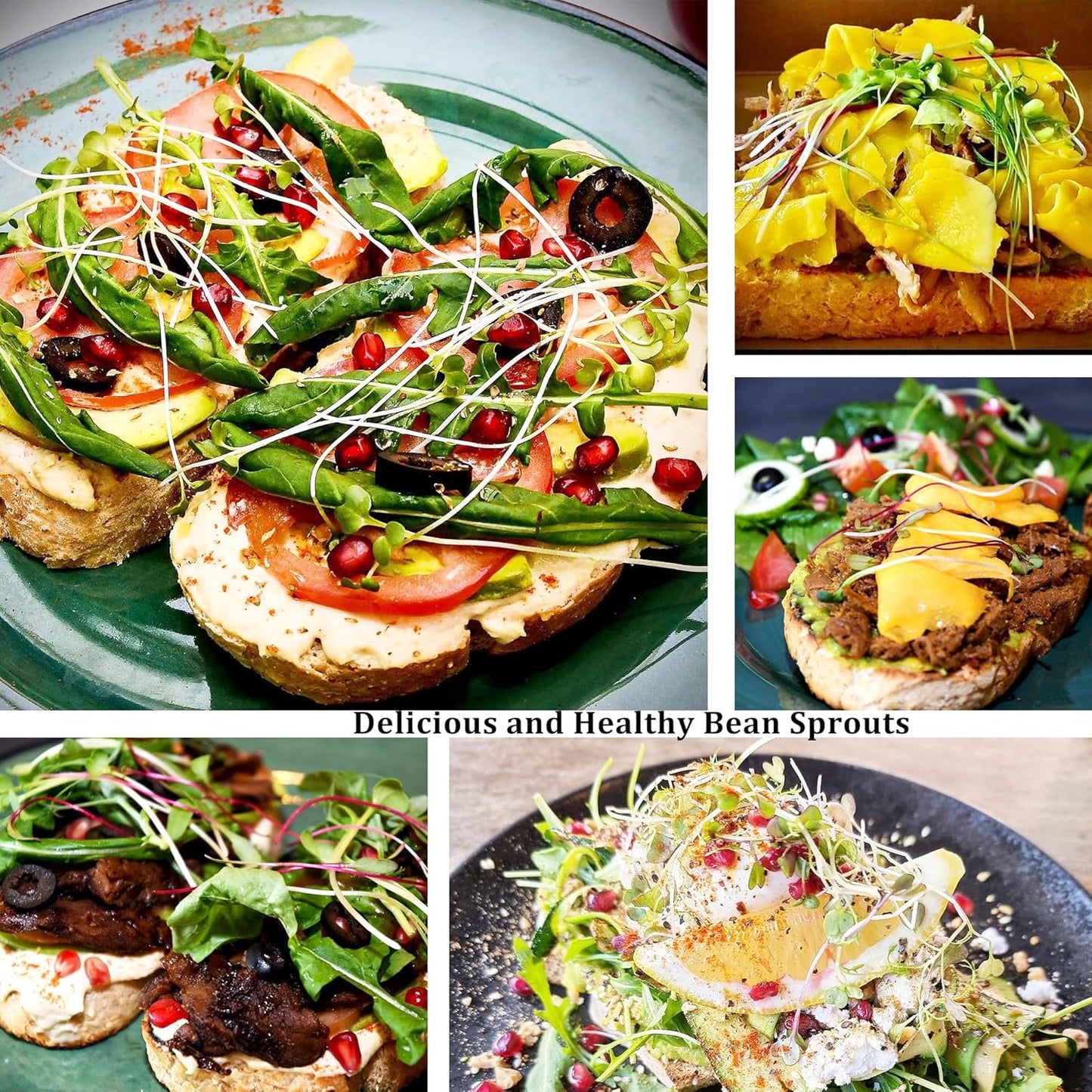 Organic Seed Sprouting Jar Kit – 2 × 32 oz Wide-Mouth Mason Jars with Stainless-Steel Sprouter Lids & Stand, Blackout Sleeves, Drain Tray – Grow Broccoli, Alfalfa & Bean Microgreens