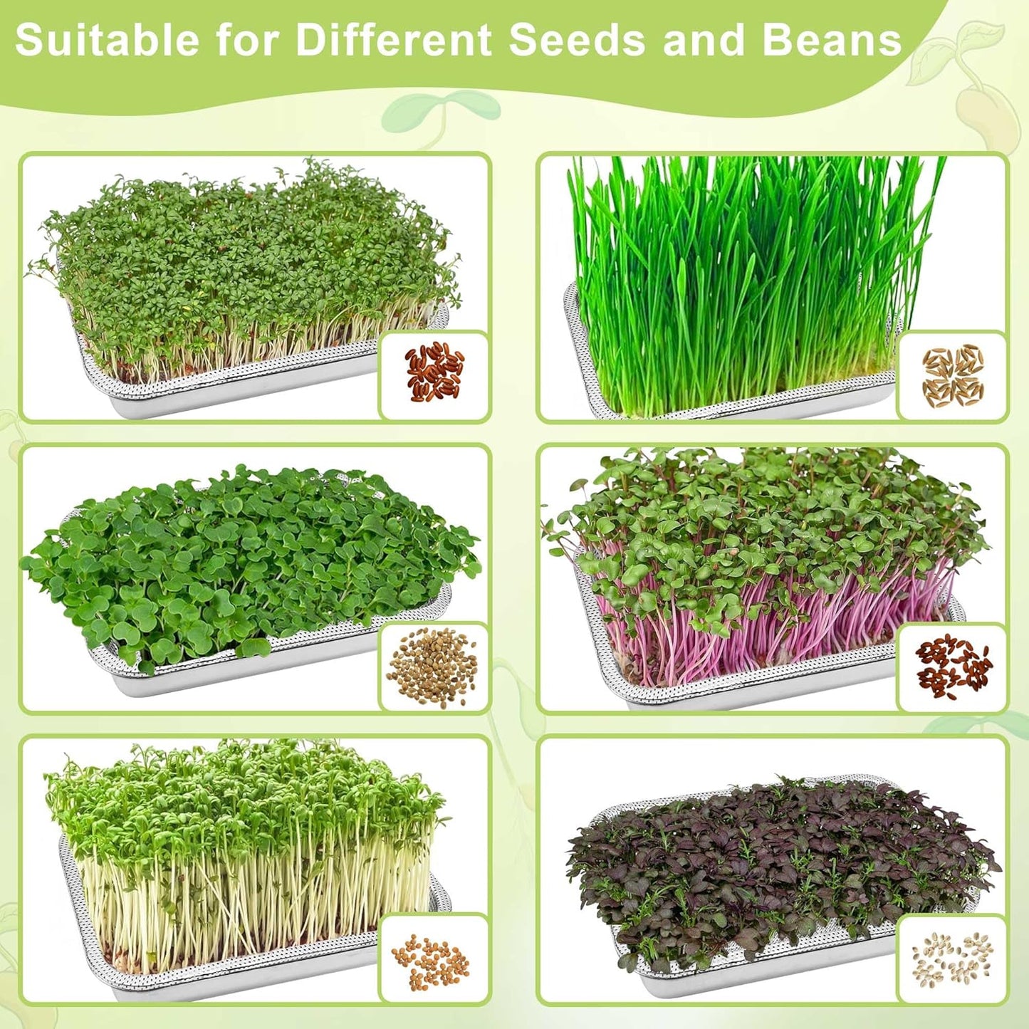 Stainless Steel Sprouts Growing Kit 3-Tier 10.4 inch Trays, Microgreens Growing Kit, Seed Sprouting Tray with Encrypted Mesh Sprouts for Beans Alfalfa Broccoli Wheat Grass