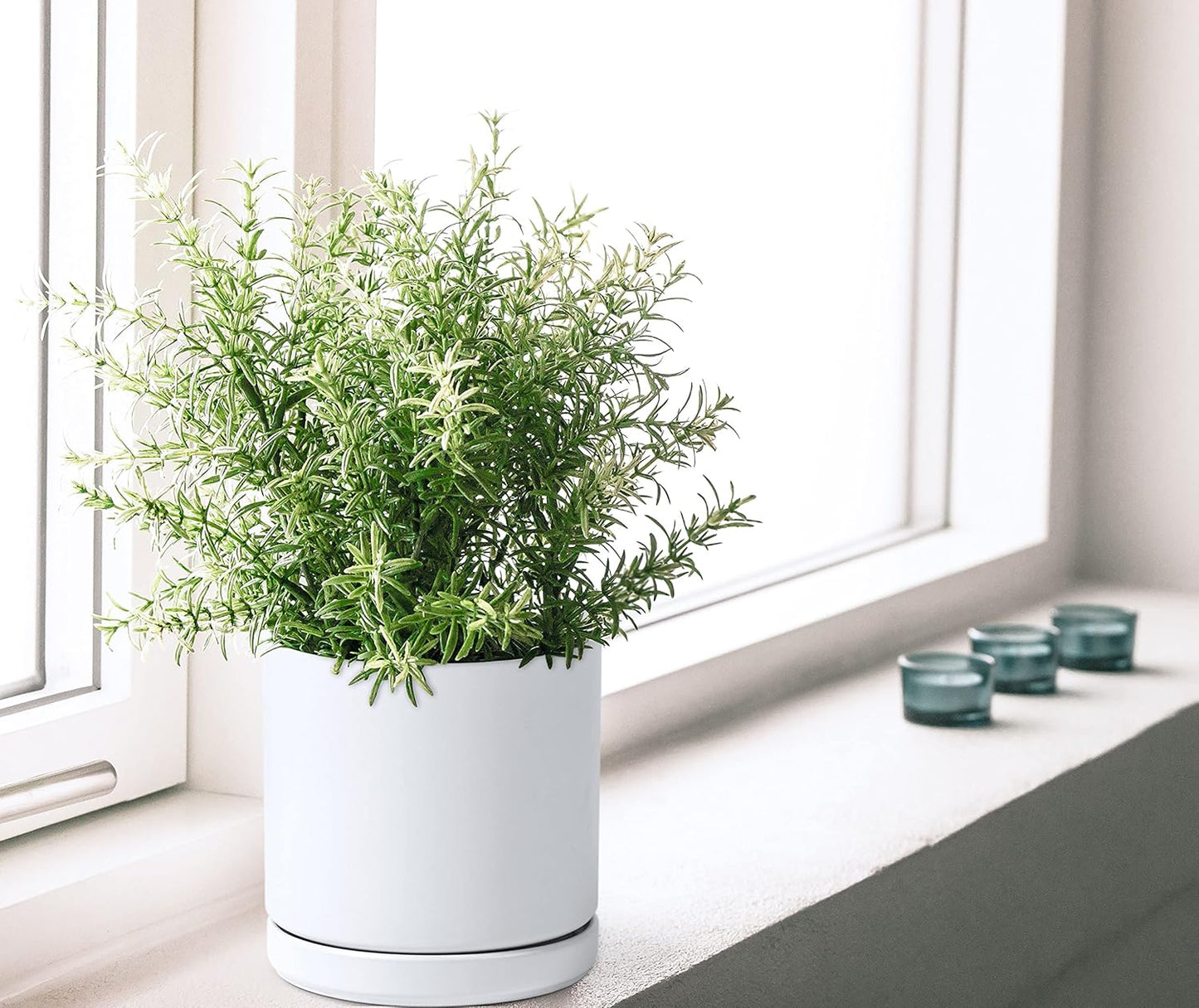 D'vine Dev 6 Inch & 8 Inch Ceramic Planter Pots for Plants with Drainage Hole and Saucer, Medium Plant Pots Set, White, 94-G-M-1