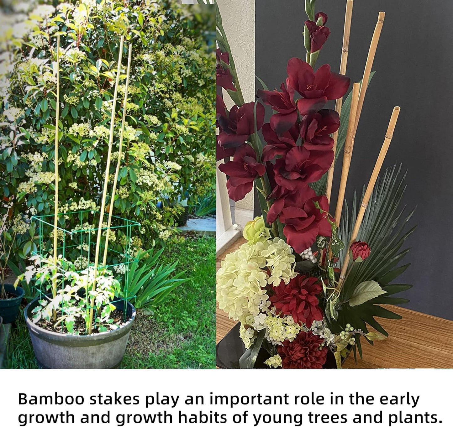 50Pcs Garden Stakes, 0.32”/ 2Feet Bamboo Sticks，Natural Plant Stakes for Indoor and Outdoor Plants，Poles for Tomatoes, Beans, Potted Plants…