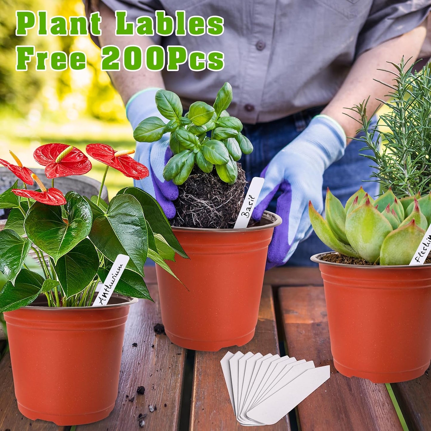 TDHDIKE 6 Inch Plastic Plant Nursery Pot/Pots (200pcs) with 200 Plant Labels - Red Seedling Flower Containers (Indoor/Outdoor)