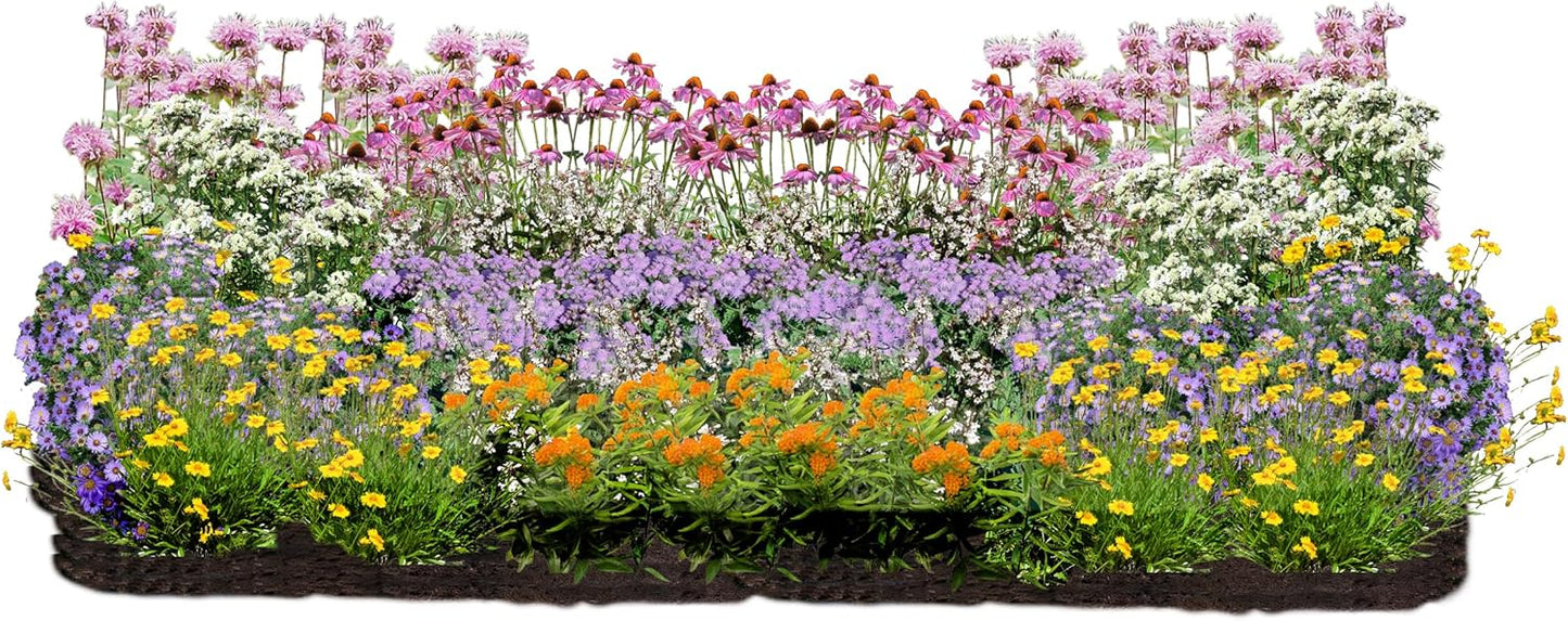 64 Outdoor Plants - Flowering Garden for Full Sun to Support Pollinators Including Perennial Native Plants Purple Coneflower, Butterfly Milkweed, Wild Bergamot and Smooth Blue Aster