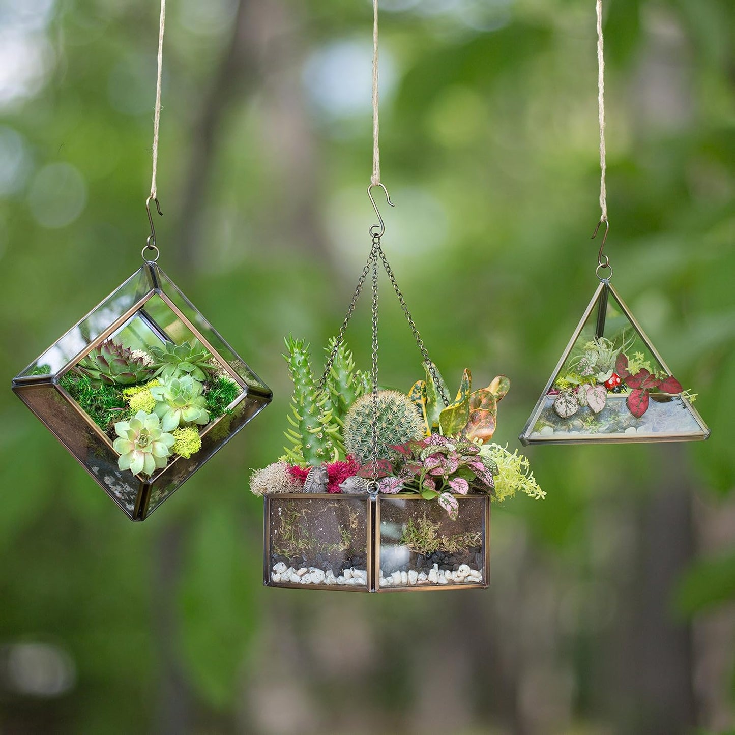 Deco Glass Geometric DIY Terrarium, Succulent & Air Plant- Hanging Mini Hexagon Shaped for Indoor Gardening Decor- Create Your own Flower, Fern, Moss Centerpiece- Amazing Holiday and Wedding Gift