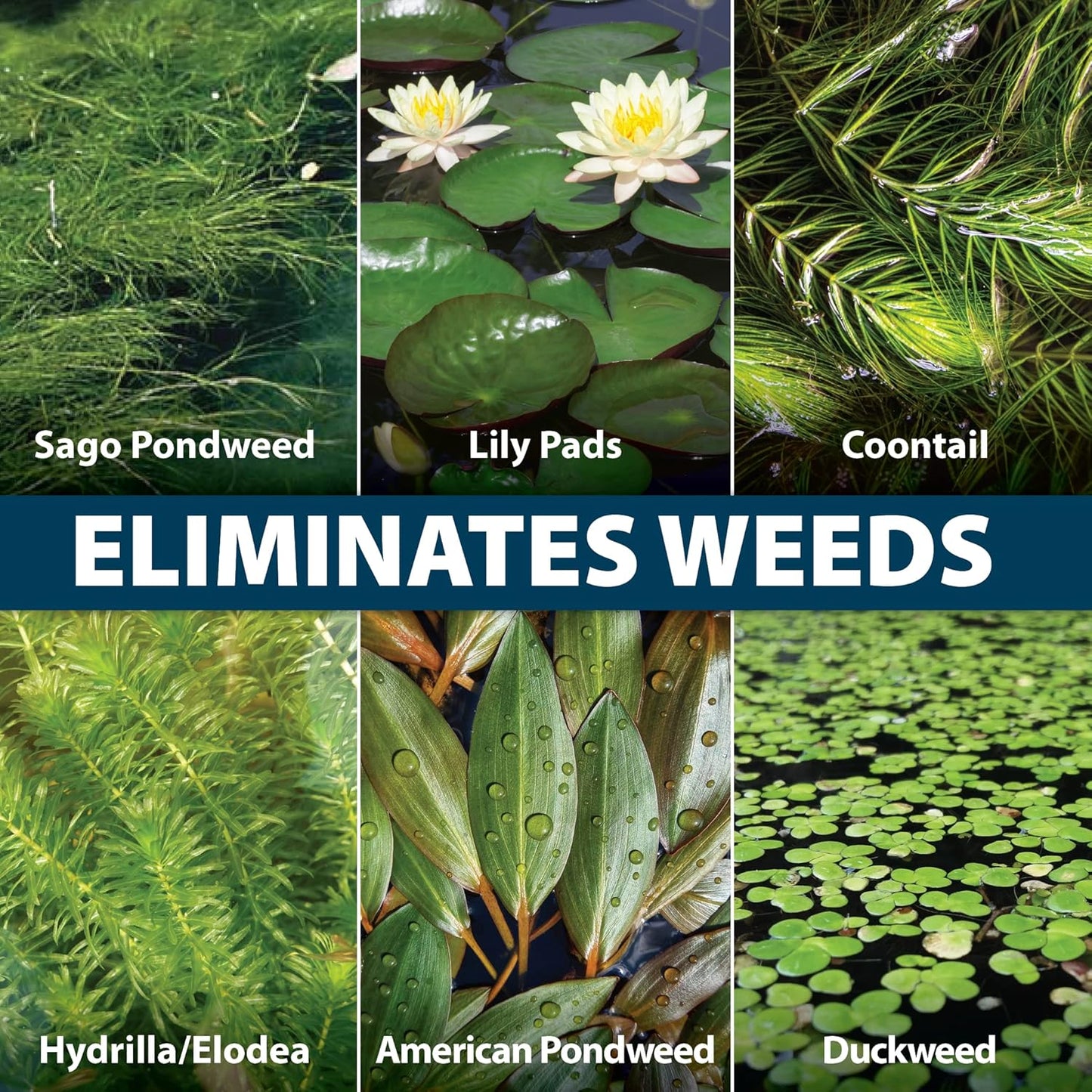 Airmax Wipeout Pond Weed Defense, Herbicide & Aquatic Weed Control, Controls Duckweed & Other Unwanted Submerged & Floating Vegetation, Easy-to-Use & Long Lasting, All-Season Treatment - 32 Ounce