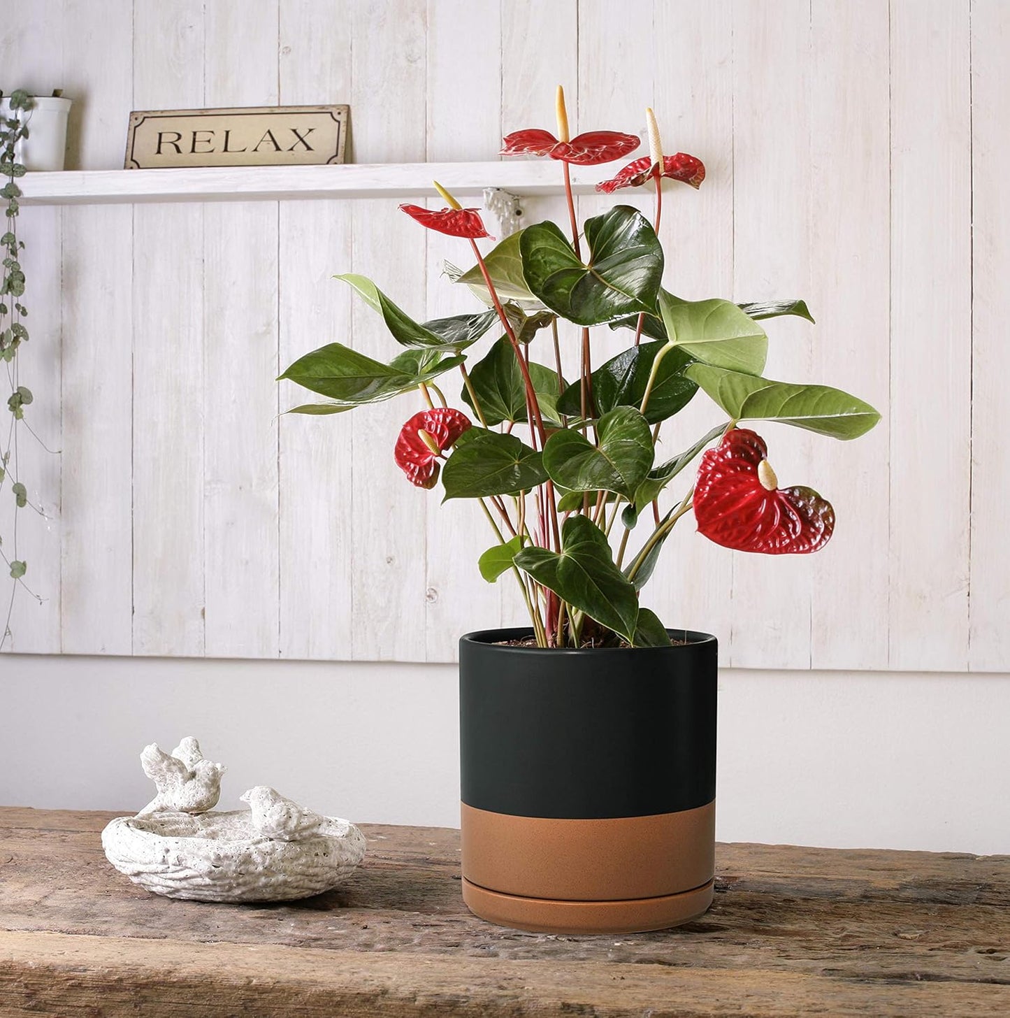 D'vine Dev 4.6 Inch & 6 Inch Ceramic Planter Pots for Plants with Drainage Hole and Saucer, Small Plant Pots Set, Black/Speckled Tan, 94-G-S-7