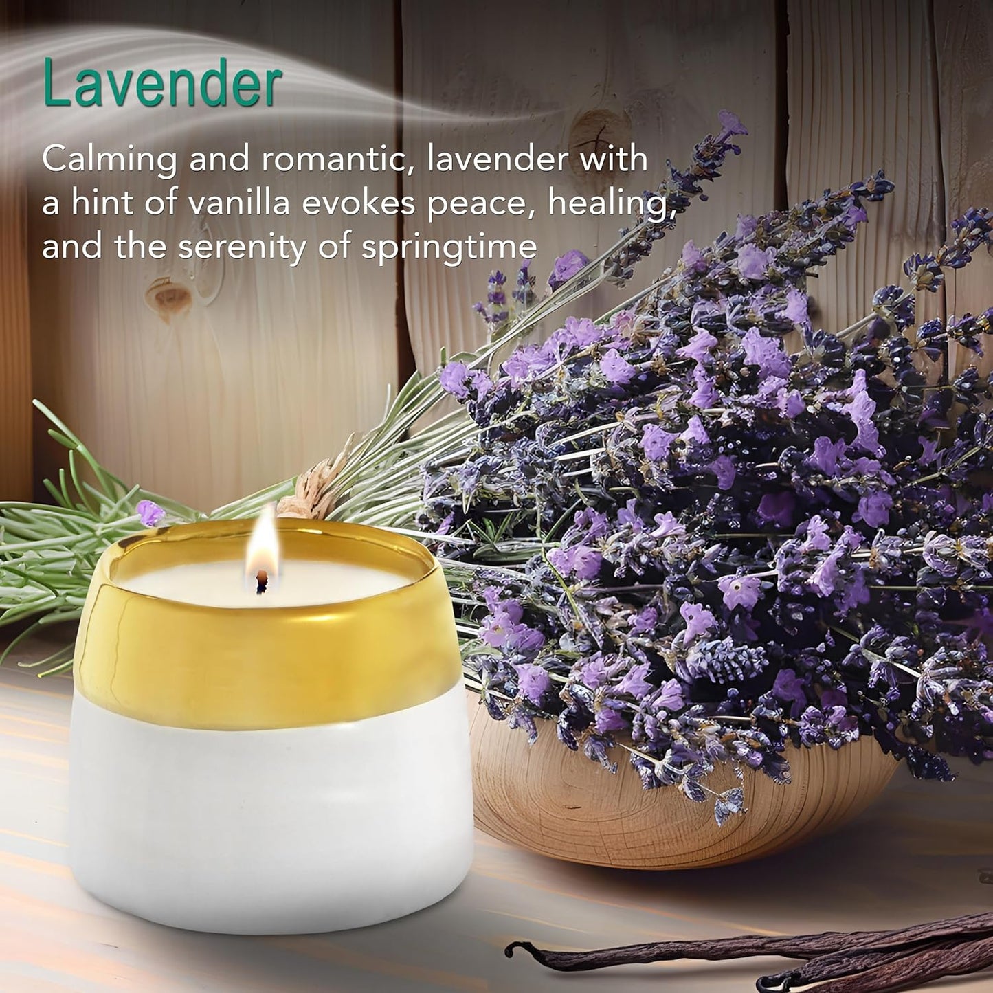 The Growing Candle, Lavender Scented, 10oz Ceramic Pot, Single Wick Aromatherapy Candles, 100% Soy for Women and Men, Clara