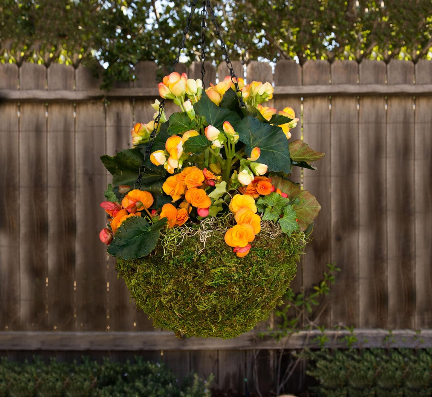 SuperMoss (29201) MossWeave Hanging Basket - Round, Fresh Green, Medium (14.5 Diameter)"