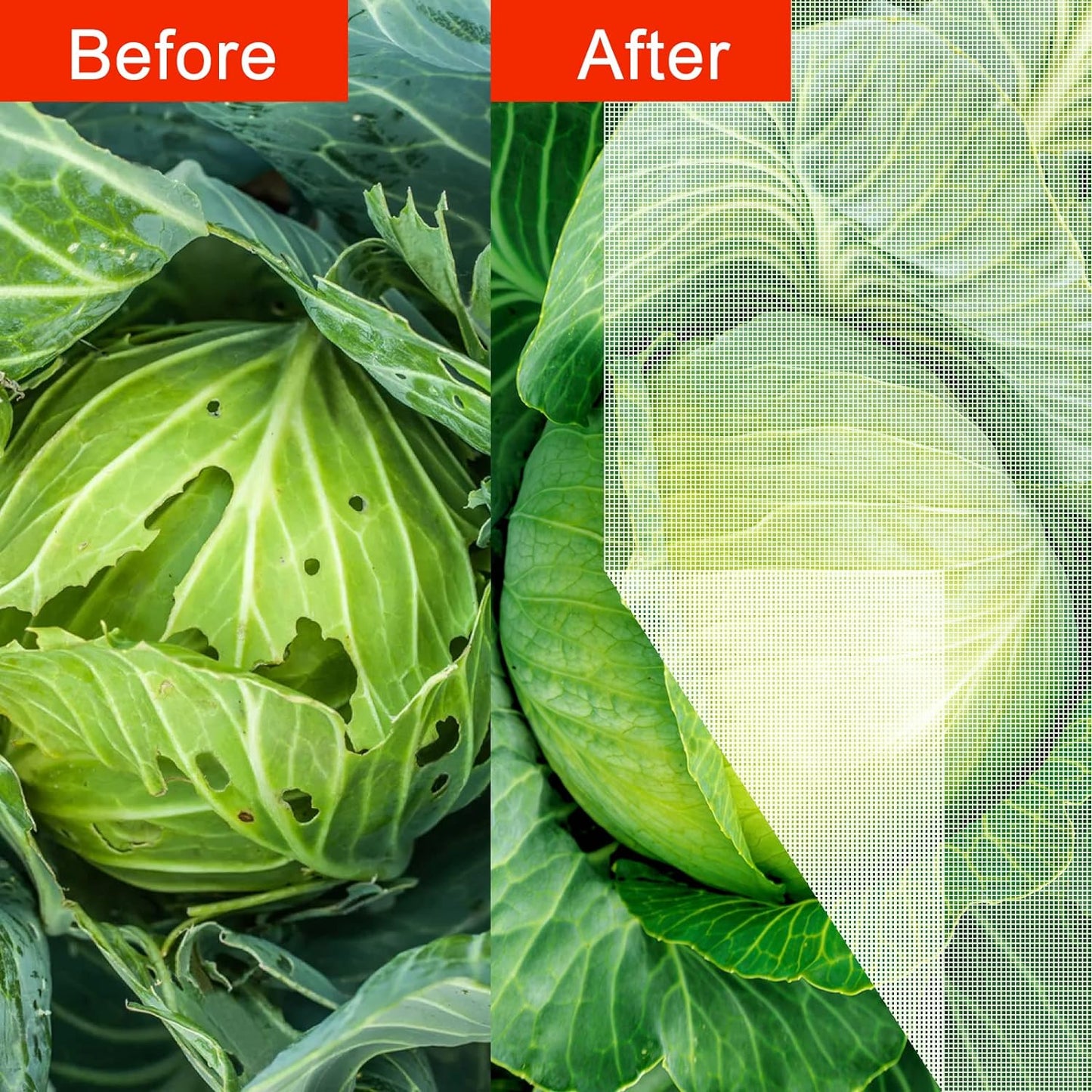 Agfabric Garden Netting 16'x20' Insect Pest Barrier Bird Netting for Garden Protection,Row Cover Mesh Netting for Vegetables Fruit Trees and Plants,White