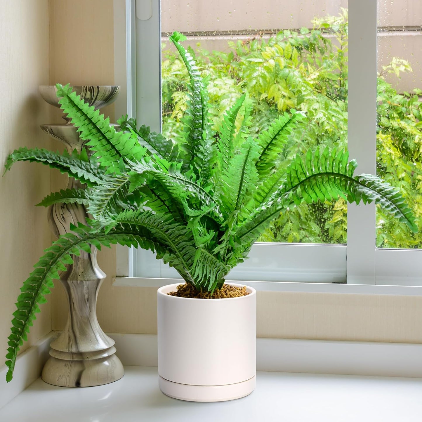 D'vine Dev 8 Inch Ceramic Planter Pot with Drainage Hole and Saucer, Indoor Cylinder Round Planter Pot, Oatmeal, 94-O-D-8