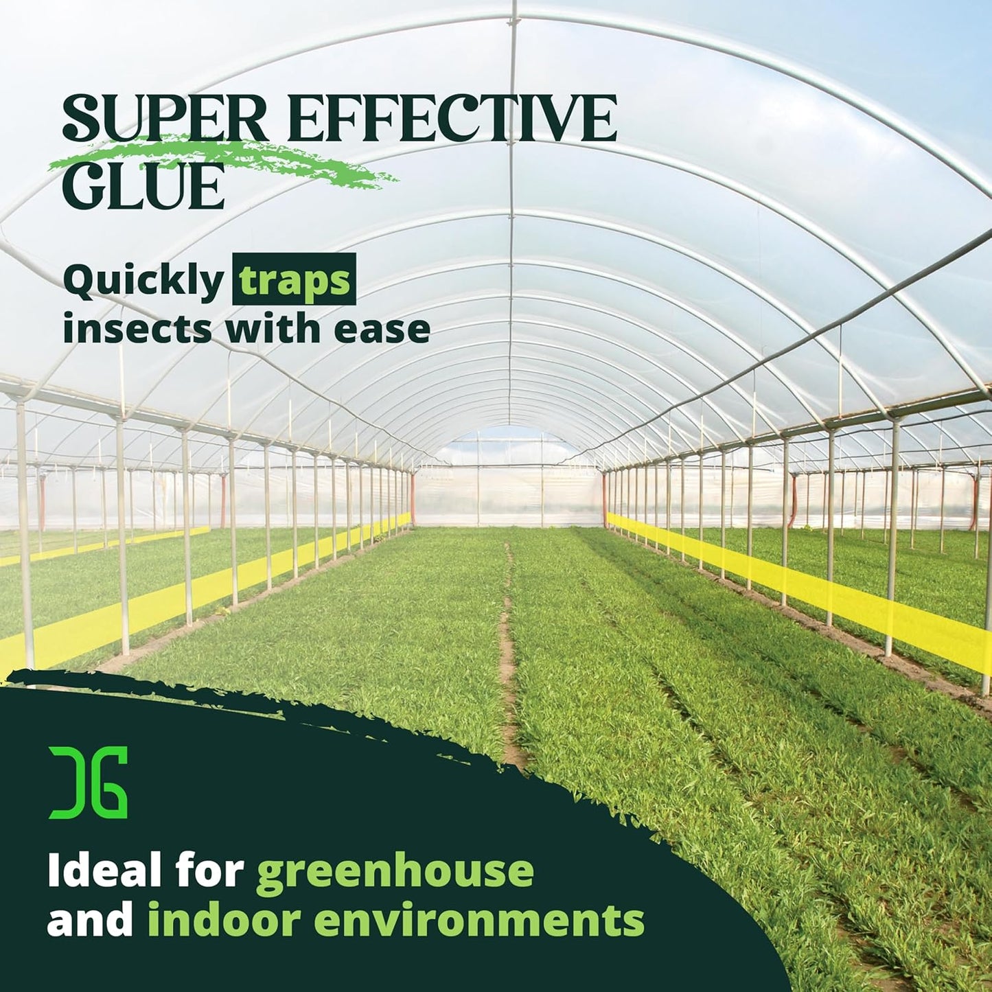 Catchmaster XL AG Roll 2PK, Double Sided Adhesive Fly Tape Strips, Fungus Gnat Sticky Trap for Greenhouse, Garden, Nursery, Pest Control Gardening Supplies, Pet Safe Insect Trap, 328' x 12" Yellow