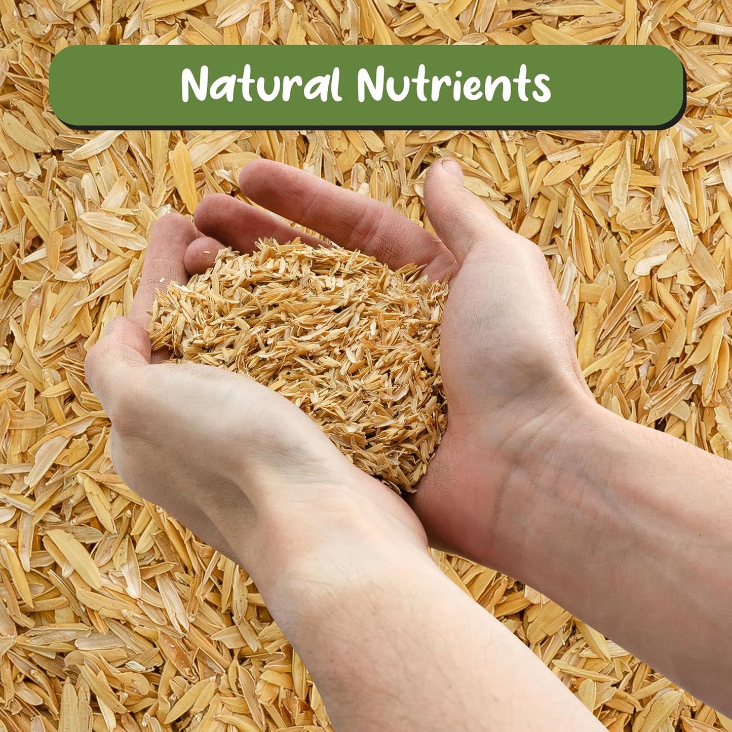 Horticultural Grade Rice Hulls (4 Quarts); All Natural Organic for House Plants and Chicken Bedding