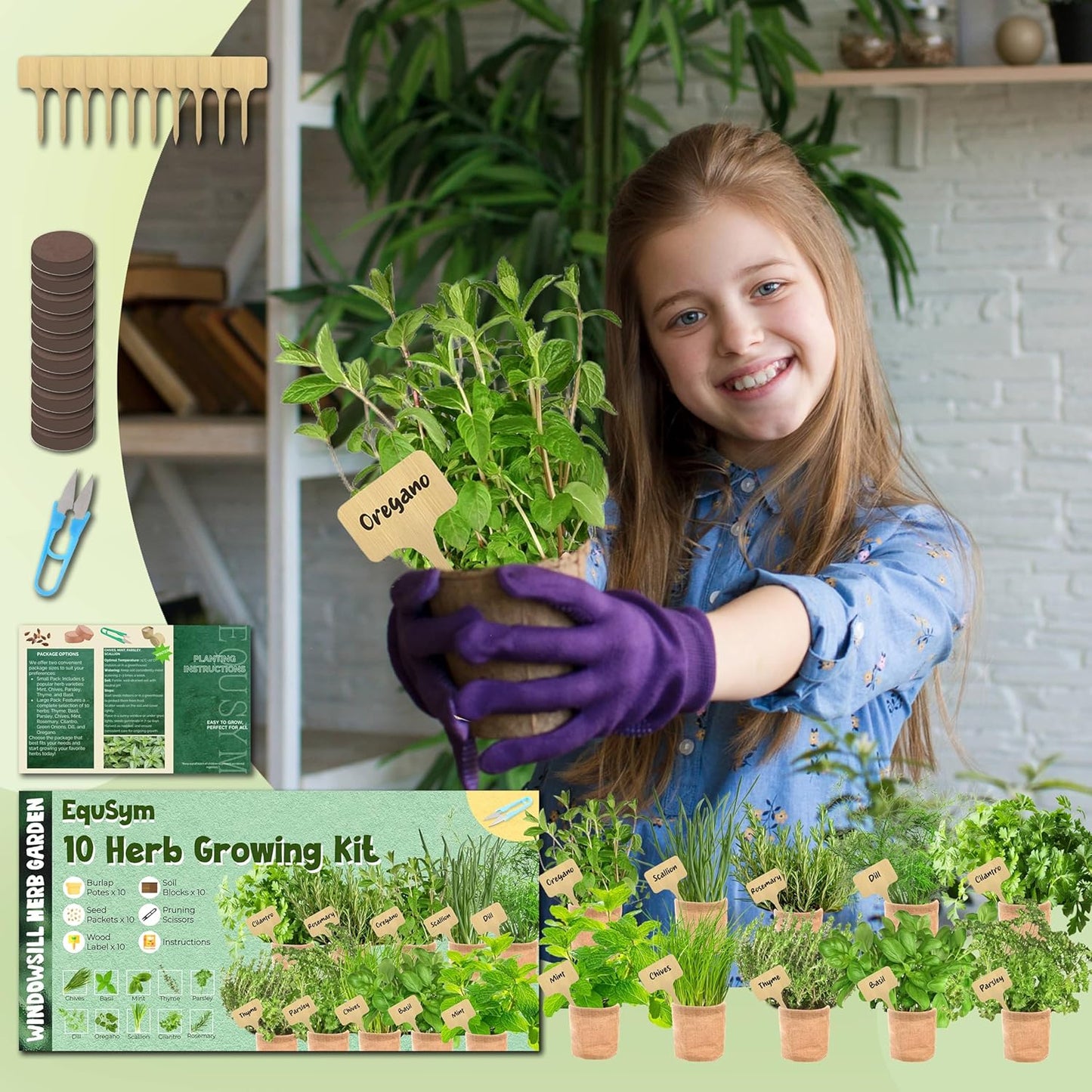 10 Herb Window Garden Kit Indoor - Herb Seeds for Indoor & Outdoor Gardening, Seeds for Planting, Gardening Gift for Kid Mother's Day Women, Complete Herb Growing Kit with Pots, Soil, Basil, Mint