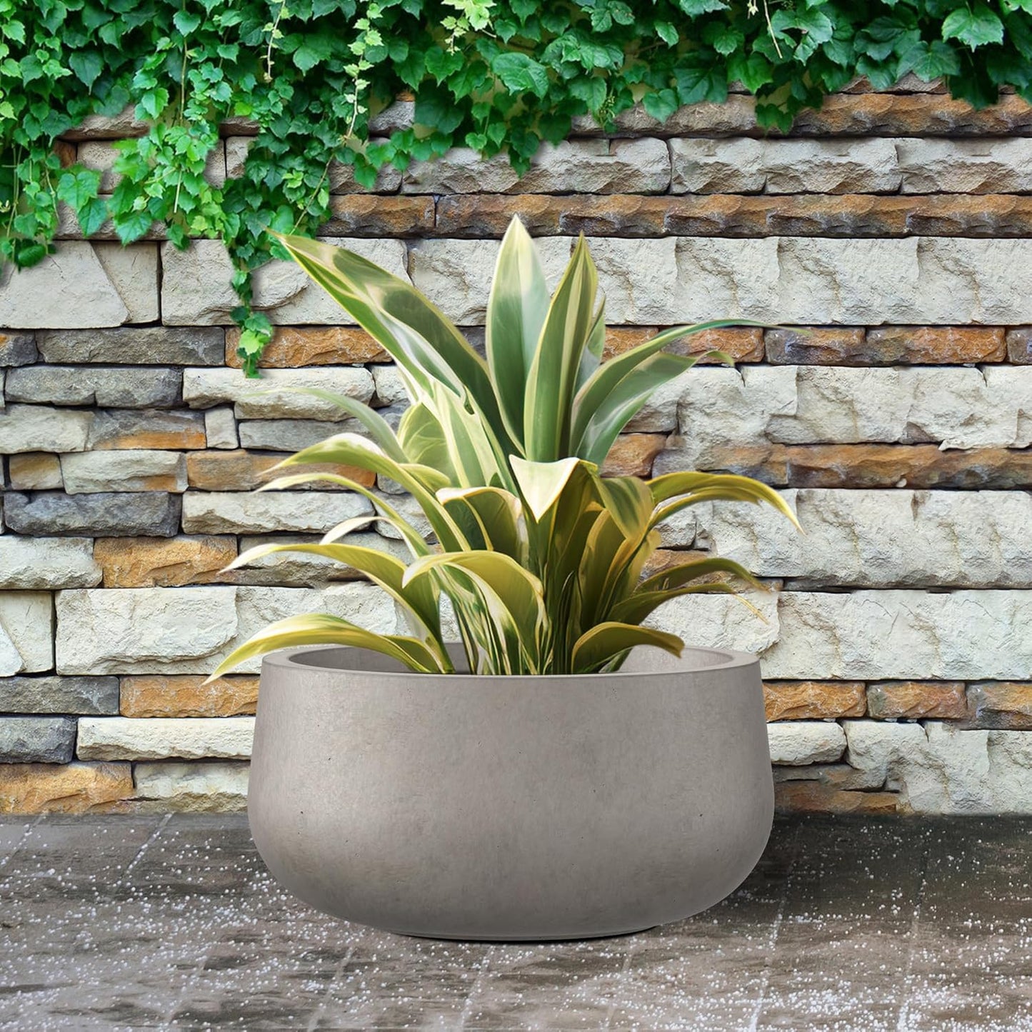 Kante 11.8" Dia Round Concrete Planter, Cement Plant Pots with Drainage Hole and Rubber Plug for Outdoor Indoor Garden Home, Modern Curvaceous Design, Weathered Concrete