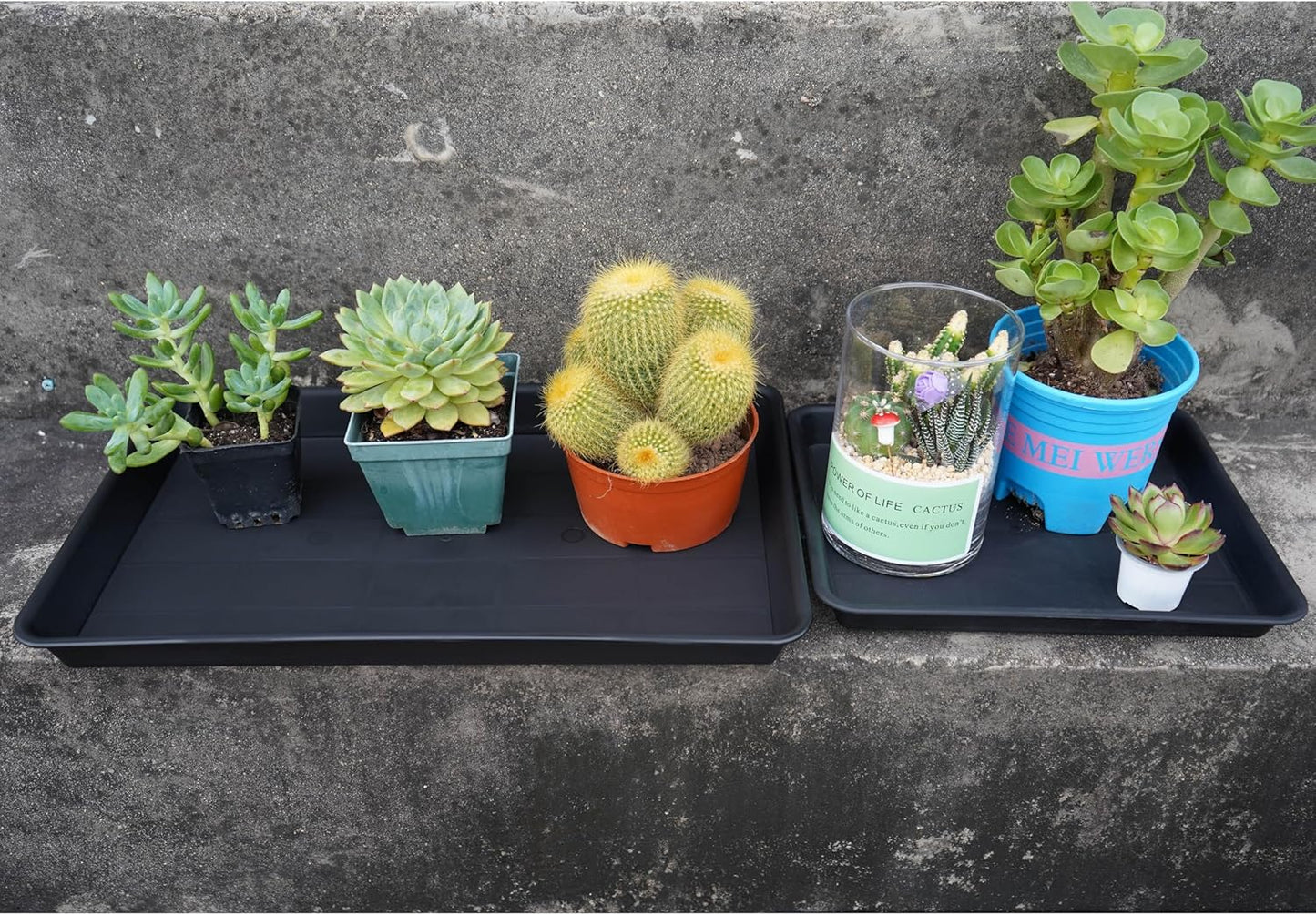 Plant Saucer Growing Tray, Seed Starter Tray Rectangular, Heavy Sturdy Plastic Plant Drainage Saucers, Plant Drip Trays for Pots, Seed Starter Growing Trays (11 x 9 inch, 1 Pack)