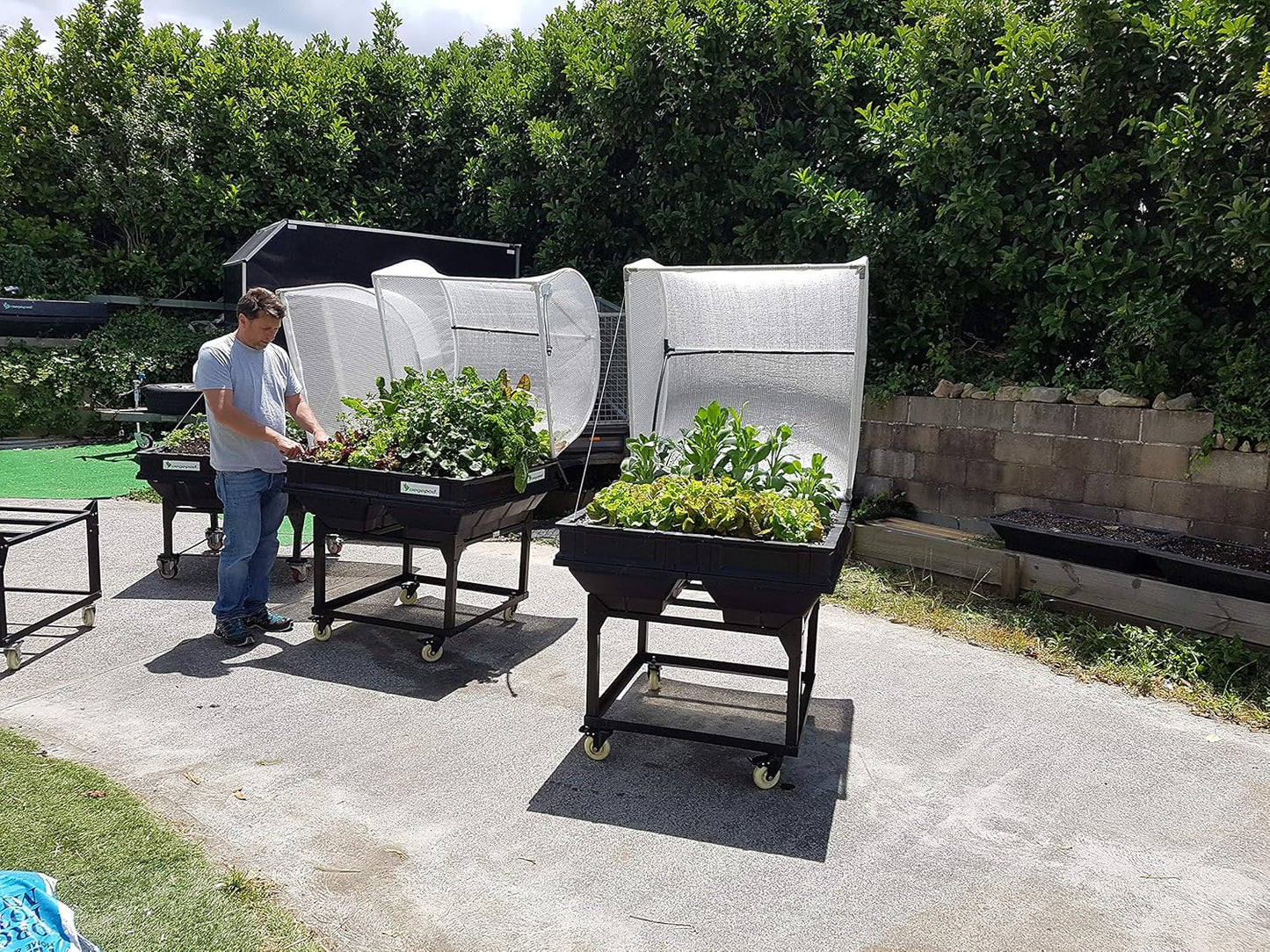 vegepod - Raised Garden Bed - Self Watering Container Garden Kit with Protective Cover, Easily Elevated to Waist Height, 10 Years Warranty (Medium, Trolley)